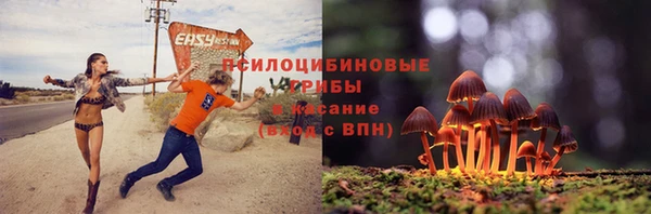 гашик Балахна