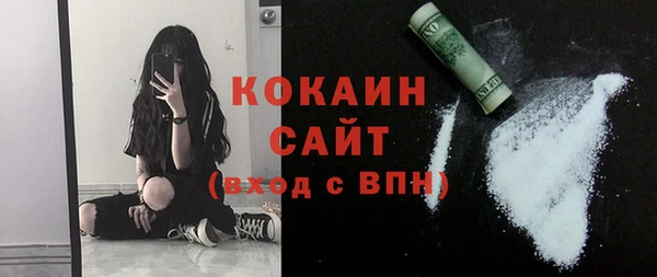 сатива Беломорск