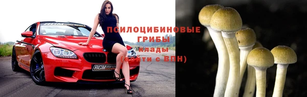 гашик Балахна