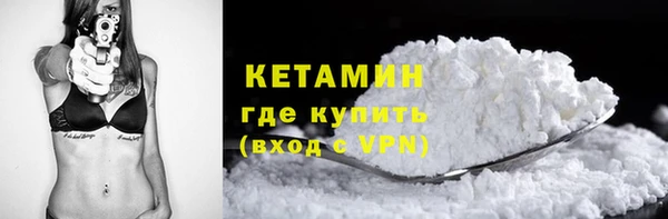 сатива Беломорск