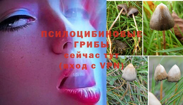 мяу мяу кристалл Баксан