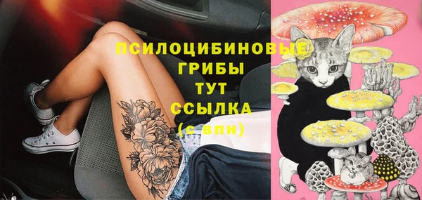 альфа пвп Белокуриха