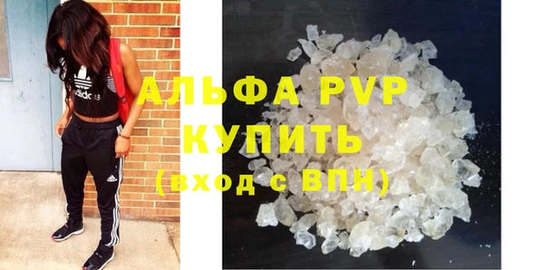 гашик Балахна