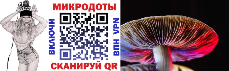 Псилоцибиновые грибы Psilocybe  Гремячинск 
